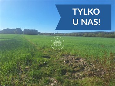 Sprzedam działkę 999 m² w Serocku z warunkami zabudowy działka Serock