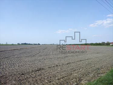 działka na sprzedaż 24500m2 działka Żuków