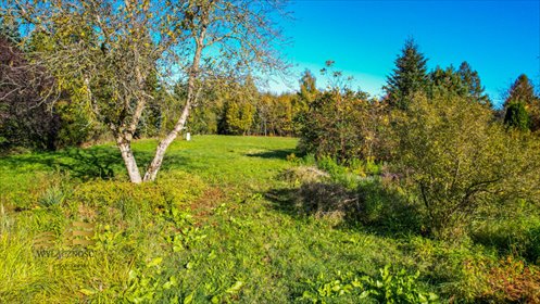 działka na sprzedaż 1111m2 działka Dąbrowica