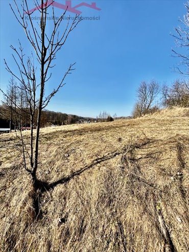 działka na sprzedaż 3900m2 działka Izdebki