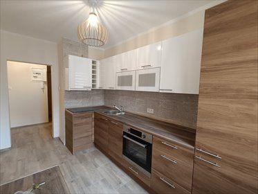 mieszkanie na wynajem 54m2 mieszkanie Zgorzelec