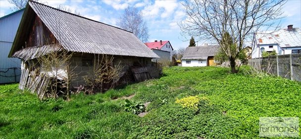 Działka budowlana na sprzedaż Aleksandrów 8 800m2 Foto 2