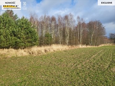 działka na sprzedaż 950m2 działka Chłopowo