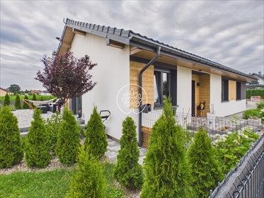 Nowoczesny dom 161 m² z designerskim sufitem i niskimi kosztami dom Czernikowo