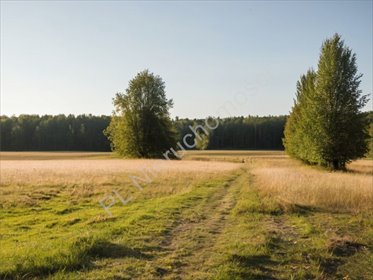 Do sprzedania działka inwestycyjna 4100 m² w Pęcicach działka Pęcice