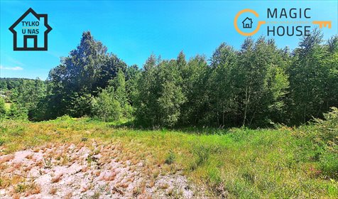 działka na sprzedaż 3002m2 działka Koleczkowo, Hippiczna