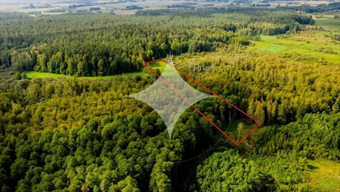 działka na sprzedaż 15400m2 działka Dobrzyniówka