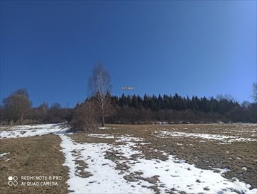 Działka rolno-leśna z widokami, 4 536 m2, Cisiec działka Cisiec