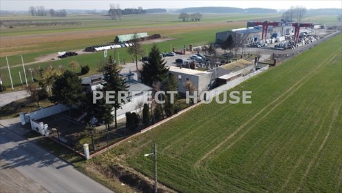 Kompleks hal z suwnicą, stabilny dochód, 2 ha - polecam! lokal użytkowy Gierłachowo