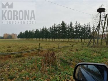 działka na sprzedaż 13900m2 działka Ryboły