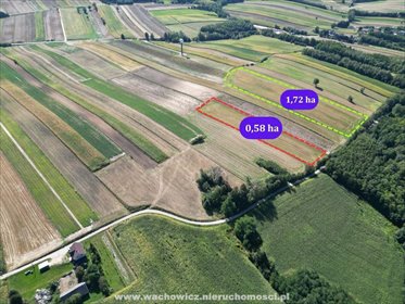 Działki rolne 2,3 ha w Pałecznicy - zapraszam działka Pałecznica