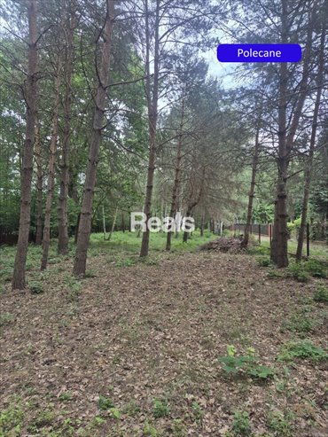 działka na sprzedaż 2450m2 działka Komorów, Kaliszany