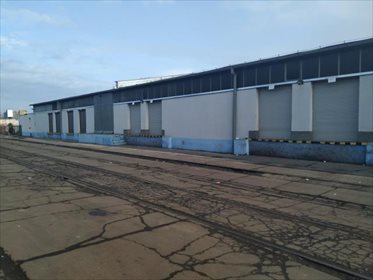 Wynajem 1764 m2 z rampami i placem w Zakrzowie lokal użytkowy Opole, Zakrzów