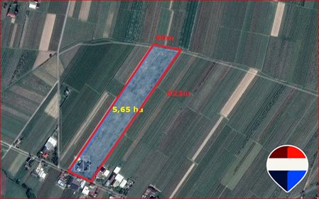 Działka 5,65 ha z budynkami, media, uprawy, inwestycja działka Grójecki