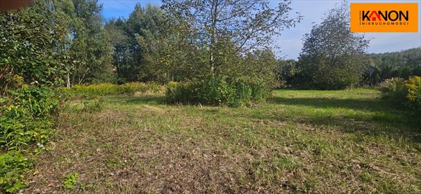 działka na sprzedaż 7476m2 działka Rybnik, Niedobczyce