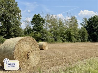 działka na sprzedaż 1433m2 działka Ligota Łabędzka, Szkolna