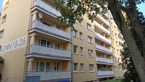 mieszkanie na wynajem 38m2 mieszkanie Poznań, Jeżyce, Winiary, Bonin