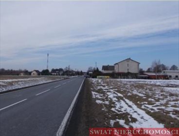 Działka budowlana na sprzedaż Skoroszów 6 300m2 Foto 4