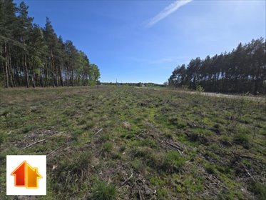 działka na sprzedaż 3000m2 działka Słubice