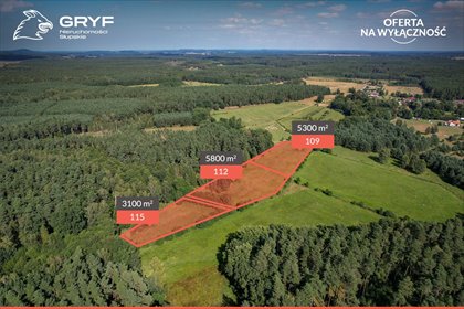 Do sprzedania urokliwa działka 3100 m² w Lękwicy blisko lasu działka Lękwica, Lękwica