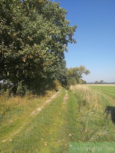 Polecam działkę rolną 21 600 m² w Ostrzycy z dostępem do dwóch dróg działka Ostrzyca
