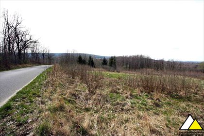 Duża działka 15 200 m² z panoramą na Ruiny Pałacu - polecam! działka Przecznica