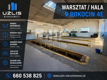 lokal użytkowy na wynajem 337m2 lokal użytkowy Rokocin