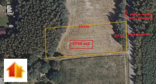 działka na sprzedaż 3750m2 działka Gródek