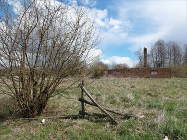 Działka budowlana na sprzedaż Wielki Wełcz 2 700m2 Foto 1