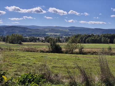 działka na sprzedaż 5751m2 działka Osobnica