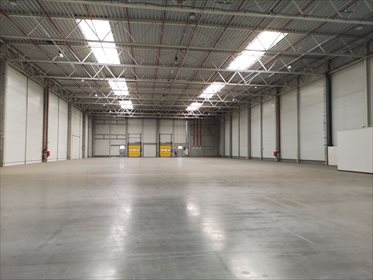 lokal użytkowy na sprzedaż 7000m2 lokal użytkowy Sosnowiec