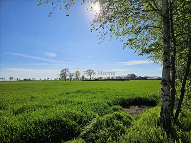 Działka budowlana 825 m² z mediami w Kokorzynie działka Kokorzyn