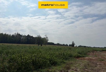 Polecam działkę 1253 m² w Budy Trzcińskie z warunkami zabudowy działka Budy Trzcińskie
