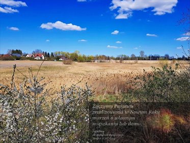 działka na sprzedaż 5000m2 działka Miłocin