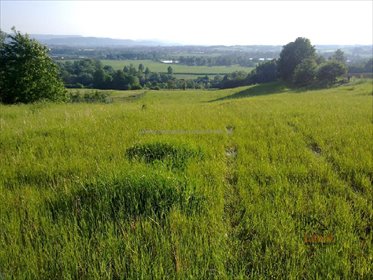 Działka 2,5 ha z zabudową i rolami, Witanowice - polecam! działka Witanowice
