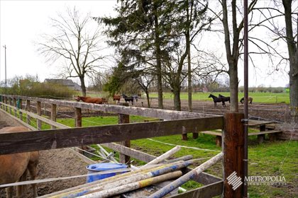 lokal użytkowy na sprzedaż 6700m2 lokal użytkowy Słomniki