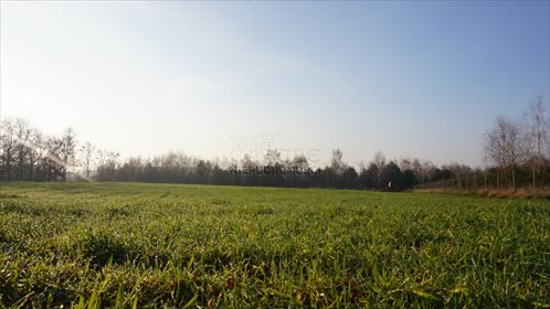 Działka budowlana na sprzedaż Mieściska, Topolowa 4 972m2 Foto 2