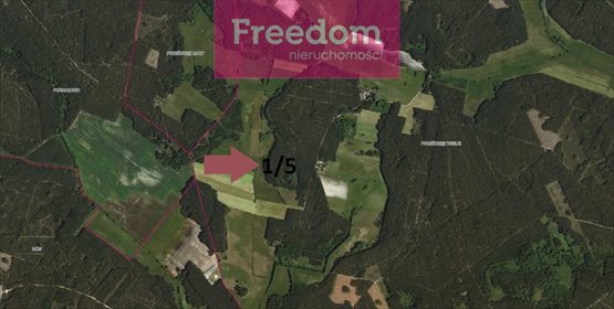 Działka leśna na sprzedaż Przeździęk Wielki 95 497m2 Foto 2