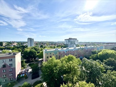 mieszkanie na sprzedaż 44m2 mieszkanie Głogów