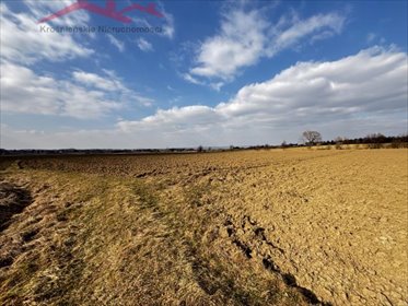 działka na sprzedaż 2800m2 działka Wrocanka