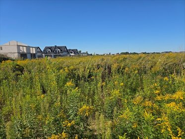 działka na sprzedaż 609m2 działka Płock, Graniczna