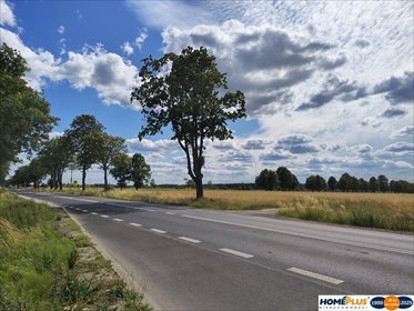działka na sprzedaż 6000m2 działka Gzowo