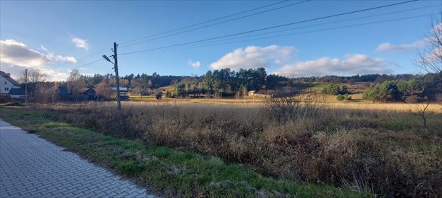 Działka rolna na sprzedaż Bliżów 18 700m2 Foto 3