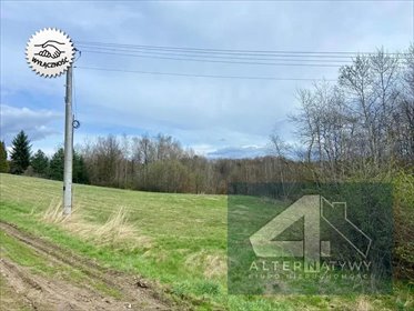 działka na sprzedaż 10000m2 działka Mogilany