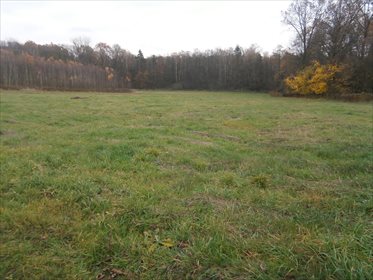 Działka budowlana na sprzedaż Piątkowiec 11 400m2 Foto 3