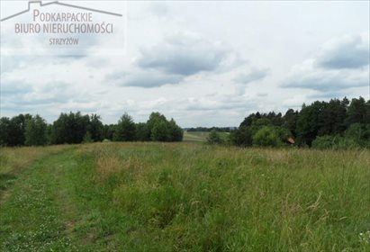 działka na sprzedaż 30000m2 działka Gbiska