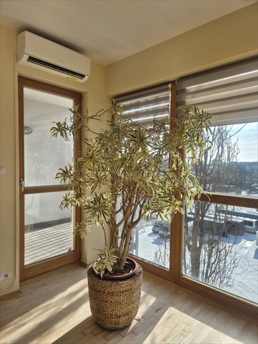 mieszkanie na sprzedaż 55m2 mieszkanie Warszawa, Mokotów, Sadyba, Powsińska