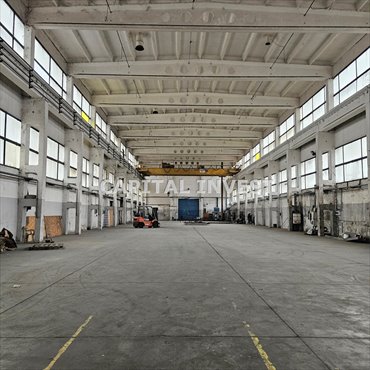 Magazyn 1660 m² z halą i biurami w Rajsku polecam magazyn Rajsko