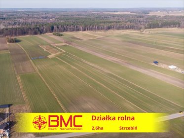 działka na sprzedaż 26500m2 działka Strzebiń, Kościuszki