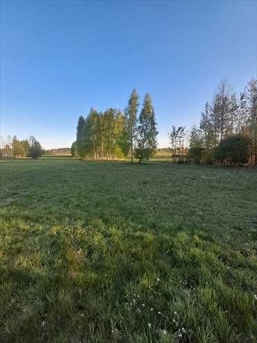 Działka budowlana 3900 m² z warunkami zabudowy, media, asfalt działka Godziesze Wielkie, Stobno Wieś